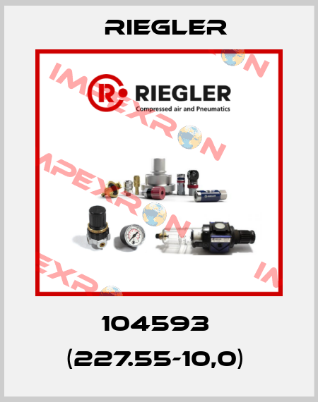 104593  (227.55-10,0)  Riegler