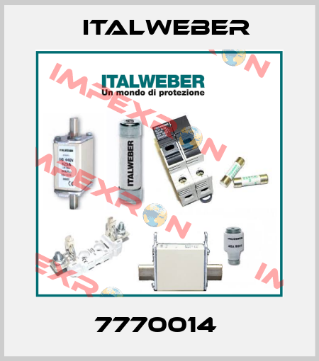 7770014  Italweber