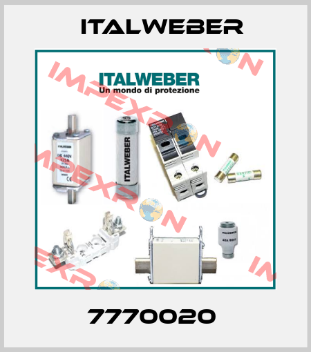 7770020  Italweber