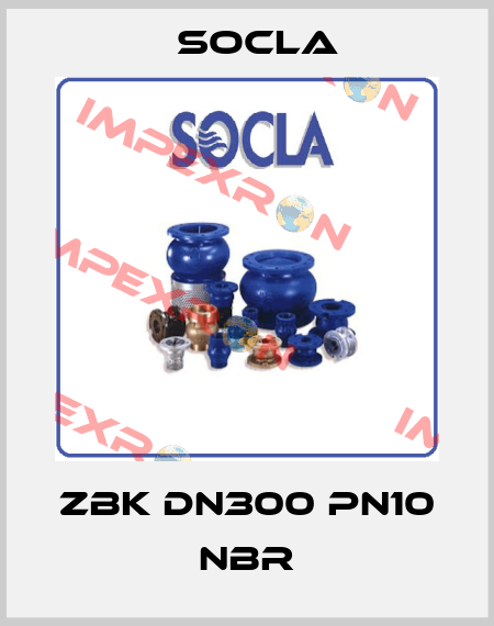 ZBK DN300 PN10 NBR Socla