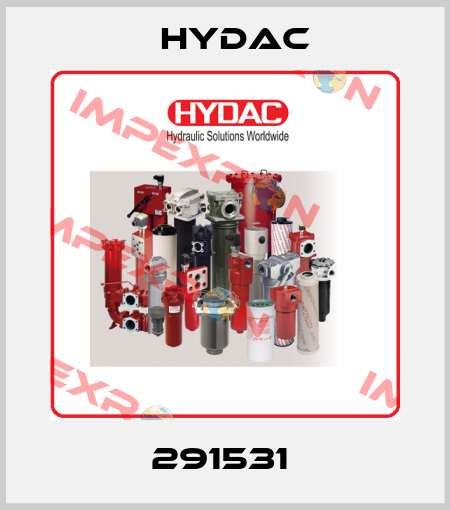 291531  Hydac