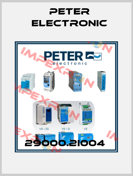 29000.2I004  Peter Electronic