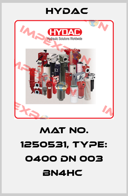 Mat No. 1250531, Type: 0400 DN 003 BN4HC  Hydac