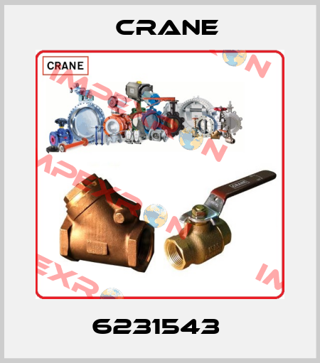 6231543  Crane