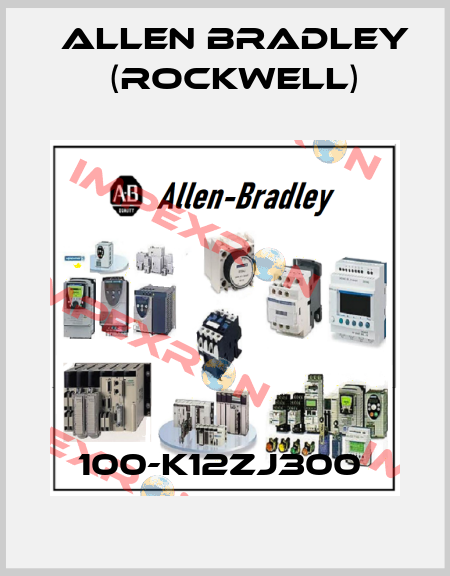 100-K12ZJ300  Allen Bradley (Rockwell)