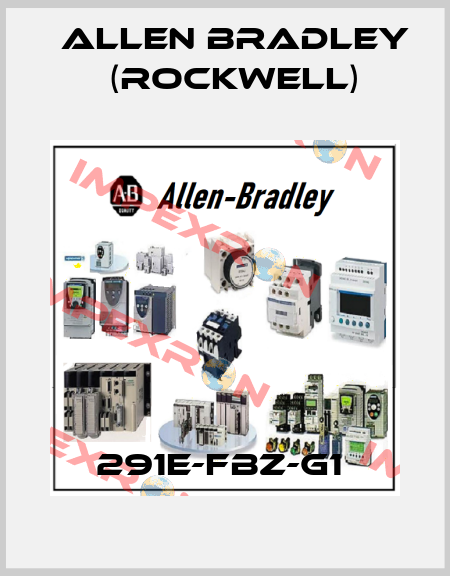291E-FBZ-G1  Allen Bradley (Rockwell)