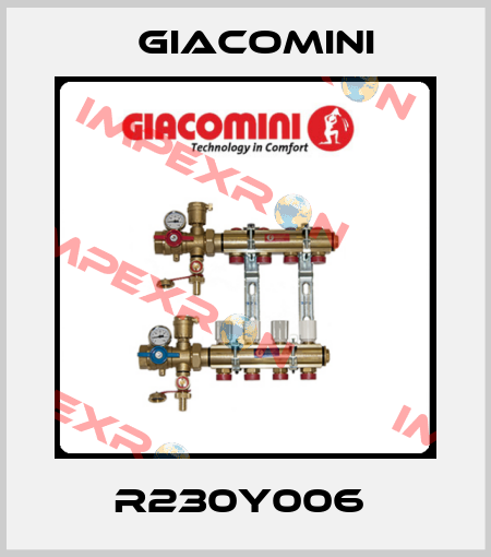 R230Y006  Giacomini