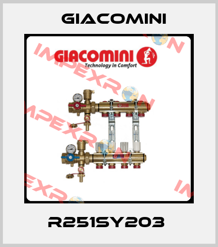R251SY203  Giacomini