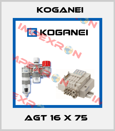 AGT 16 X 75  Koganei
