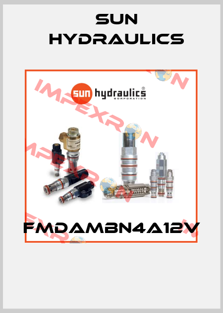 FMDAMBN4A12V  Sun Hydraulics