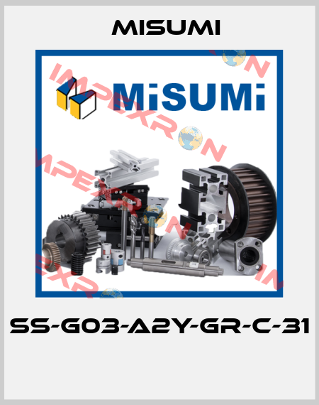 SS-G03-A2Y-GR-C-31  Misumi