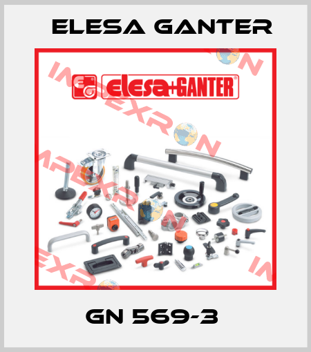 GN 569-3  Elesa Ganter