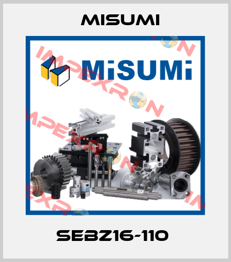 SEBZ16-110  Misumi