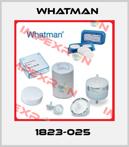 1823-025  Whatman