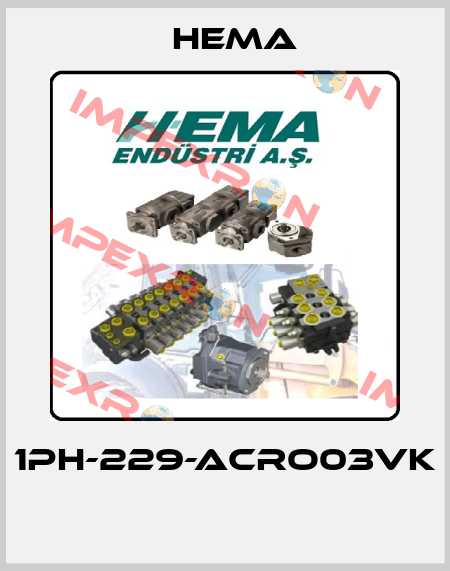 1PH-229-ACRO03VK  Hema