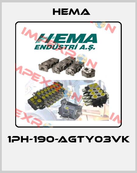 1PH-190-AGTY03VK  Hema