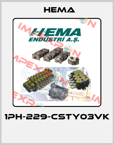 1PH-229-CSTY03VK  Hema