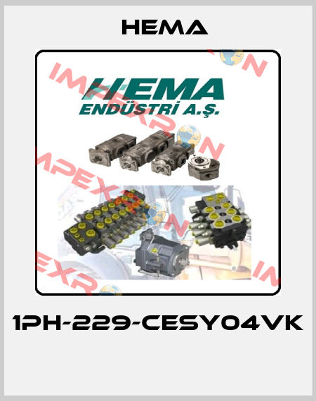 1PH-229-CESY04VK  Hema