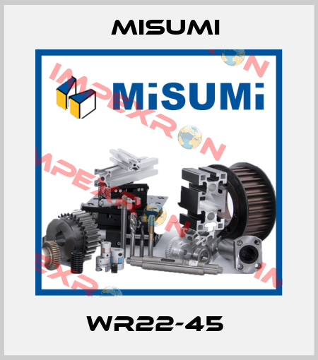 WR22-45  Misumi