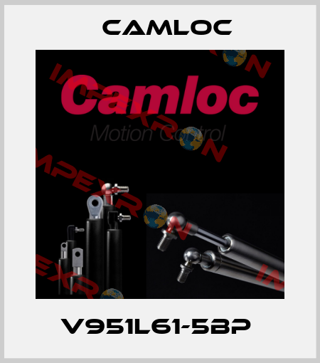 V951L61-5BP  Camloc