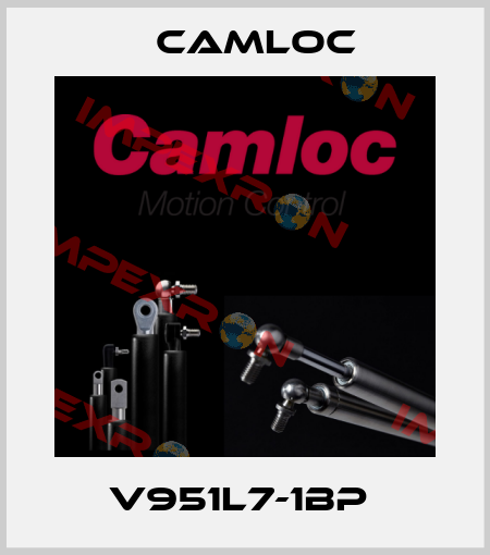 V951L7-1BP  Camloc