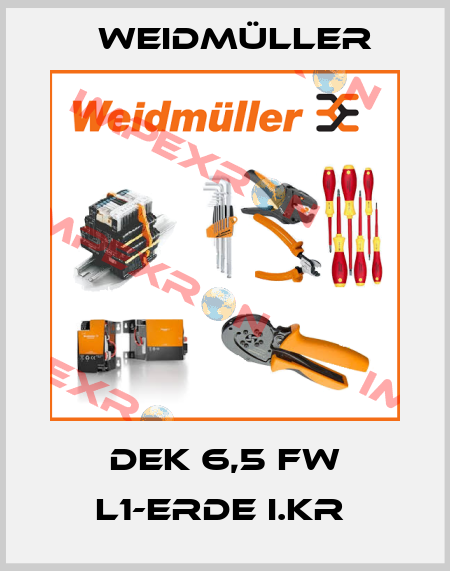 DEK 6,5 FW L1-ERDE I.KR  Weidmüller