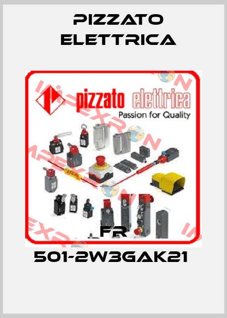 FR 501-2W3GAK21  Pizzato Elettrica