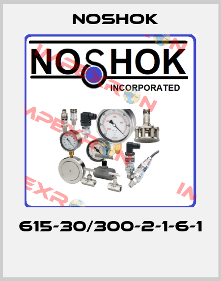 615-30/300-2-1-6-1  Noshok