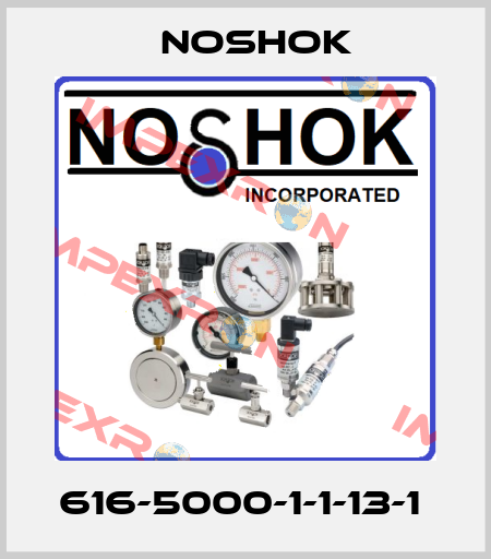 616-5000-1-1-13-1  Noshok