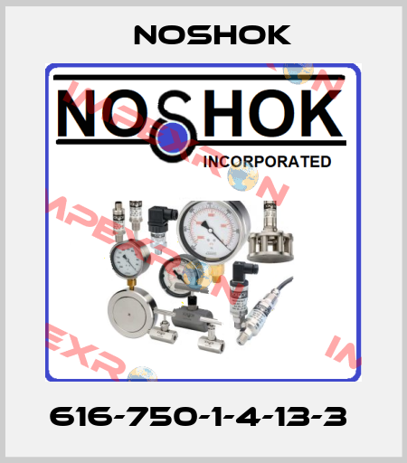 616-750-1-4-13-3  Noshok
