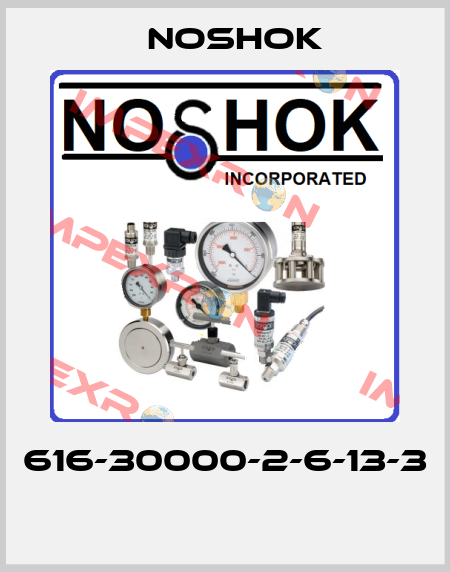 616-30000-2-6-13-3  Noshok