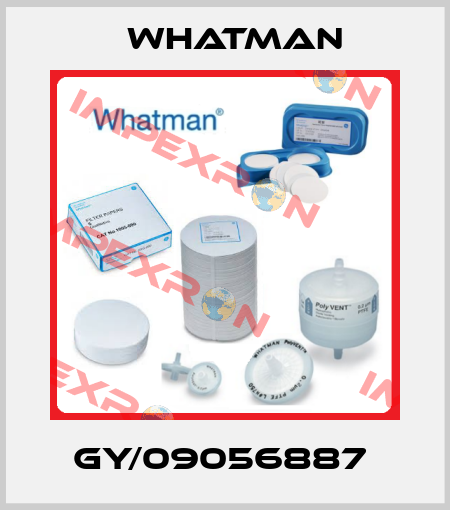 GY/09056887  Whatman