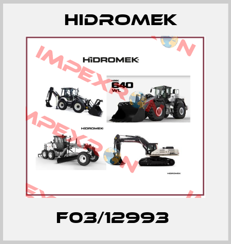 F03/12993  Hidromek