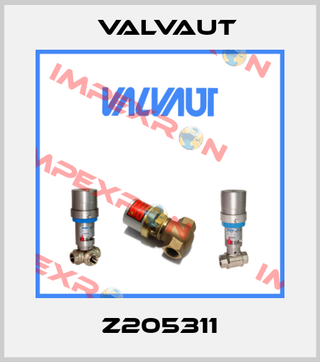 Z205311 Valvaut