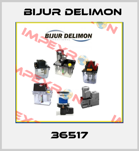 36517 Bijur Delimon