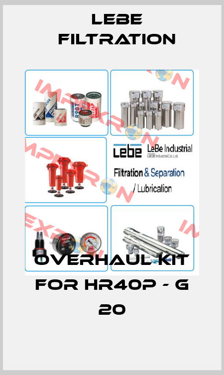 OVERHAUL KIT FOR HR40P - G 20 Lebe Filtration