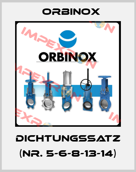 Dichtungssatz (NR. 5-6-8-13-14) Orbinox