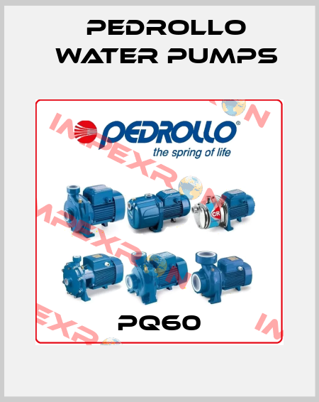 PQ60 Pedrollo Water Pumps