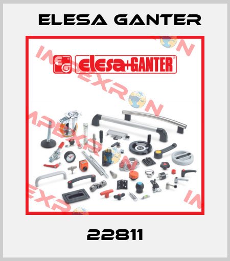 22811 Elesa Ganter