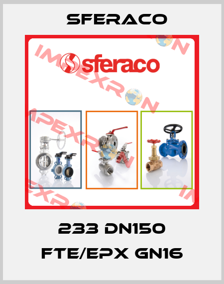 233 DN150 FTE/EPX GN16 Sferaco