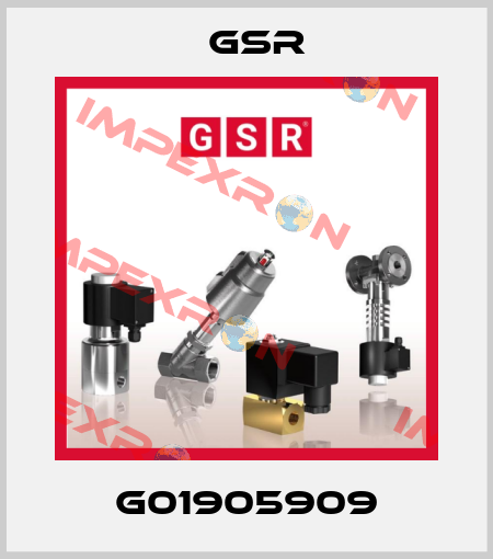 G01905909 GSR