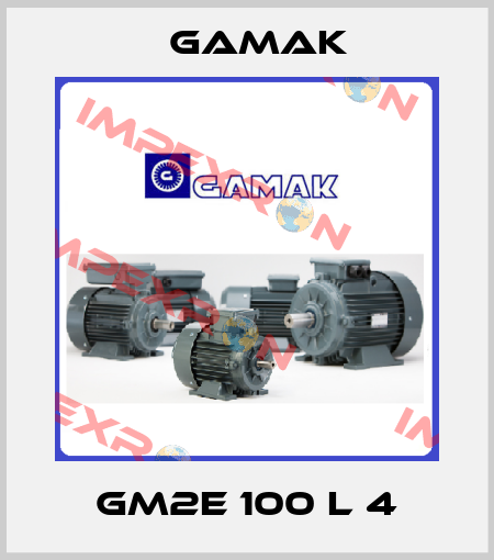 GM2E 100 L 4 Gamak