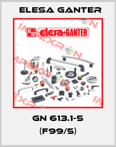 GN 613.1-5 (F99/5) Elesa Ganter