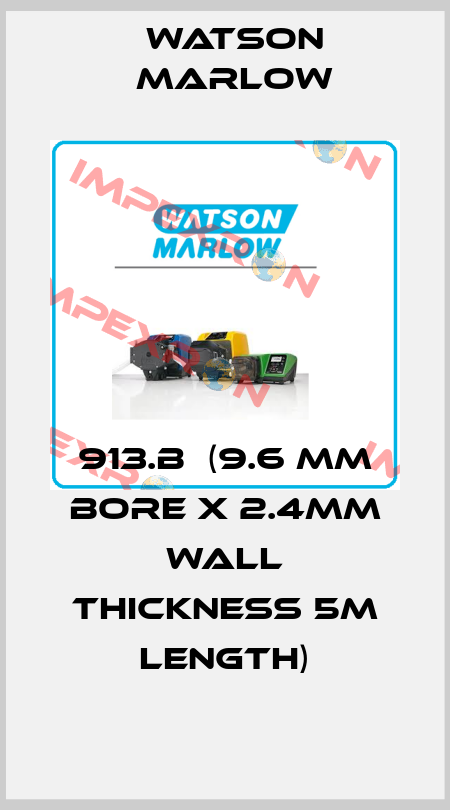 913.B  (9.6 mm bore x 2.4mm wall thickness 5m length) Watson Marlow