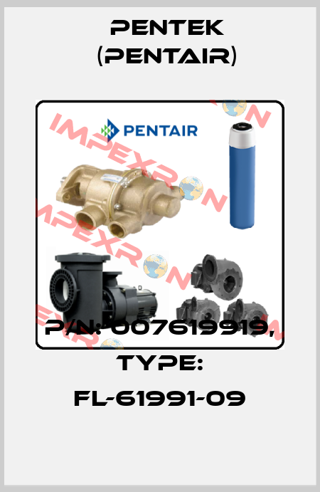 P/N: 007619919, Type: FL-61991-09 Pentek (Pentair)