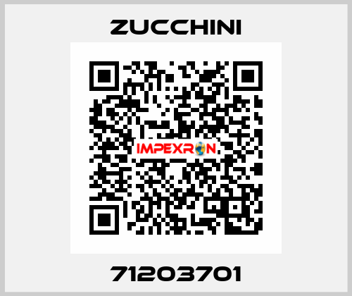 71203701 Zucchini