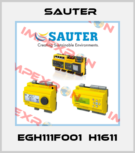 EGH111F001  H1611 Sauter