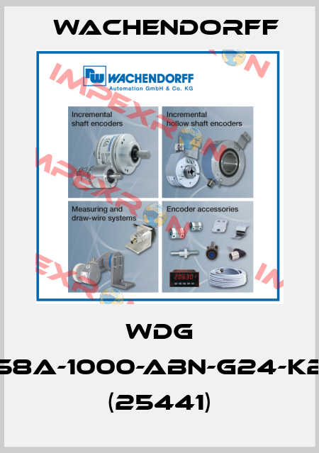 WDG 58A-1000-ABN-G24-K2 (25441) Wachendorff