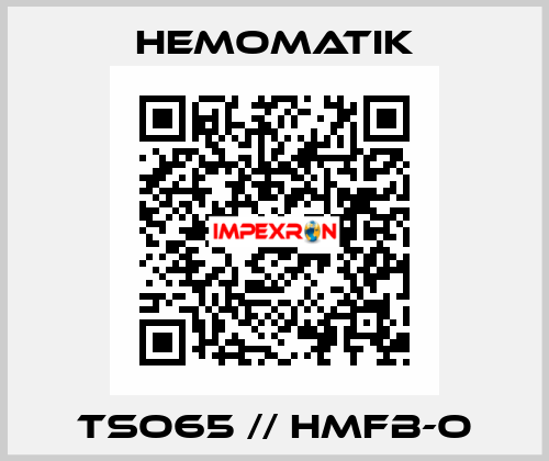 TSO65 // HMFB-O Hemomatik