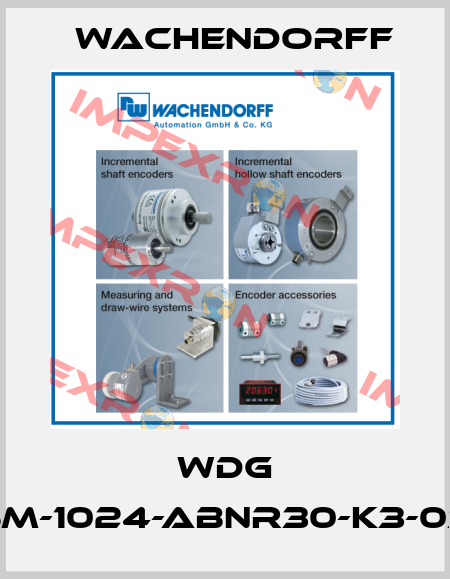 WDG 115M-1024-ABNR30-K3-030 Wachendorff